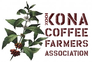KCFA horiz logo 1.9 Xi