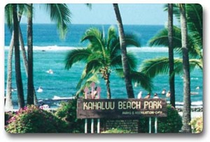 Kahaluu Beach