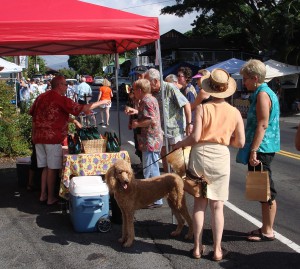 Village Art Stroll