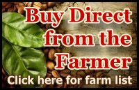 Buy Kona Coffee Direct from the Farmer